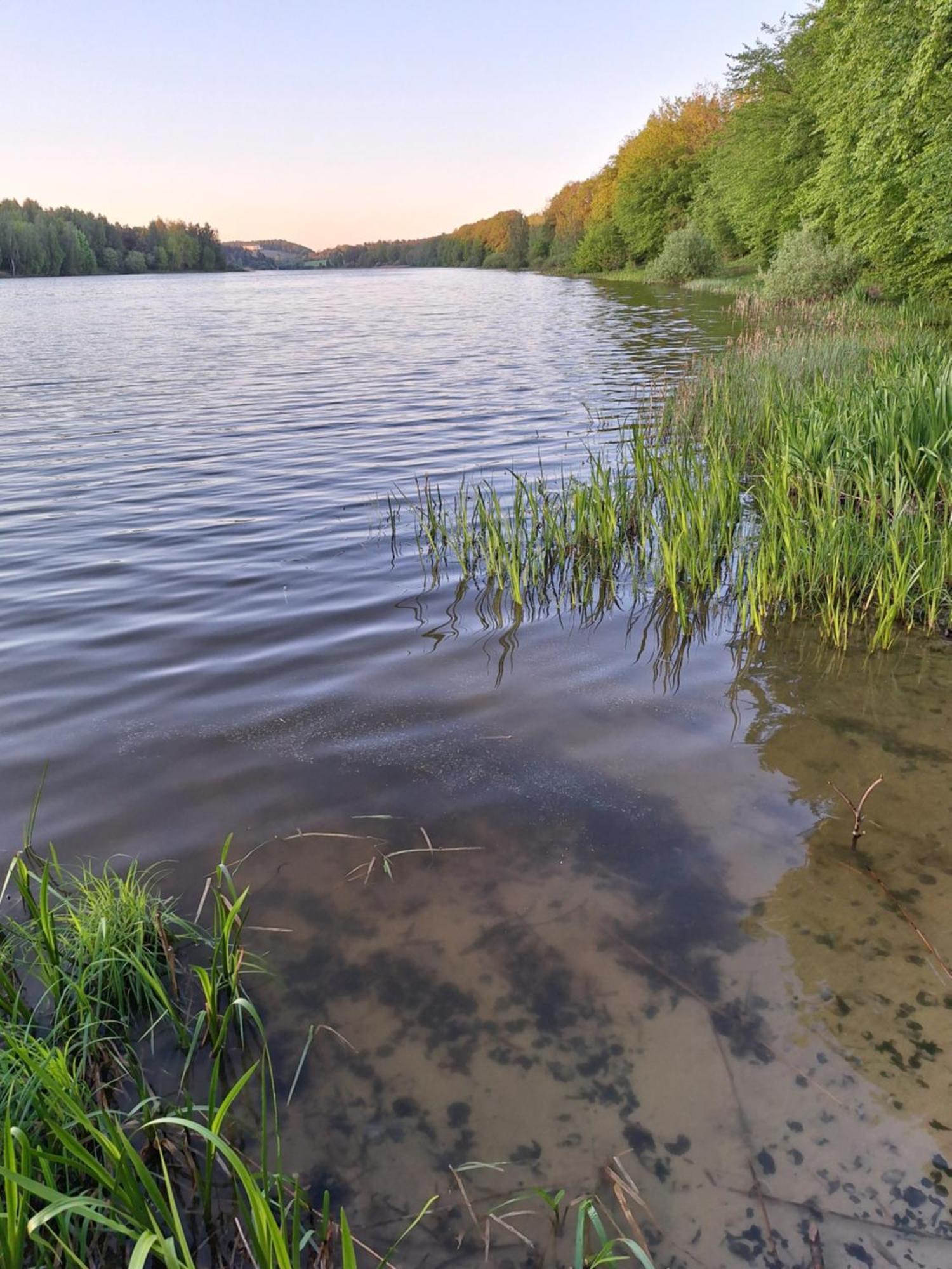 Lake&city - Komfortowe Blisko Majaland, Jeziora, Lasu Oraz Serca Trojmiasta Gdansk