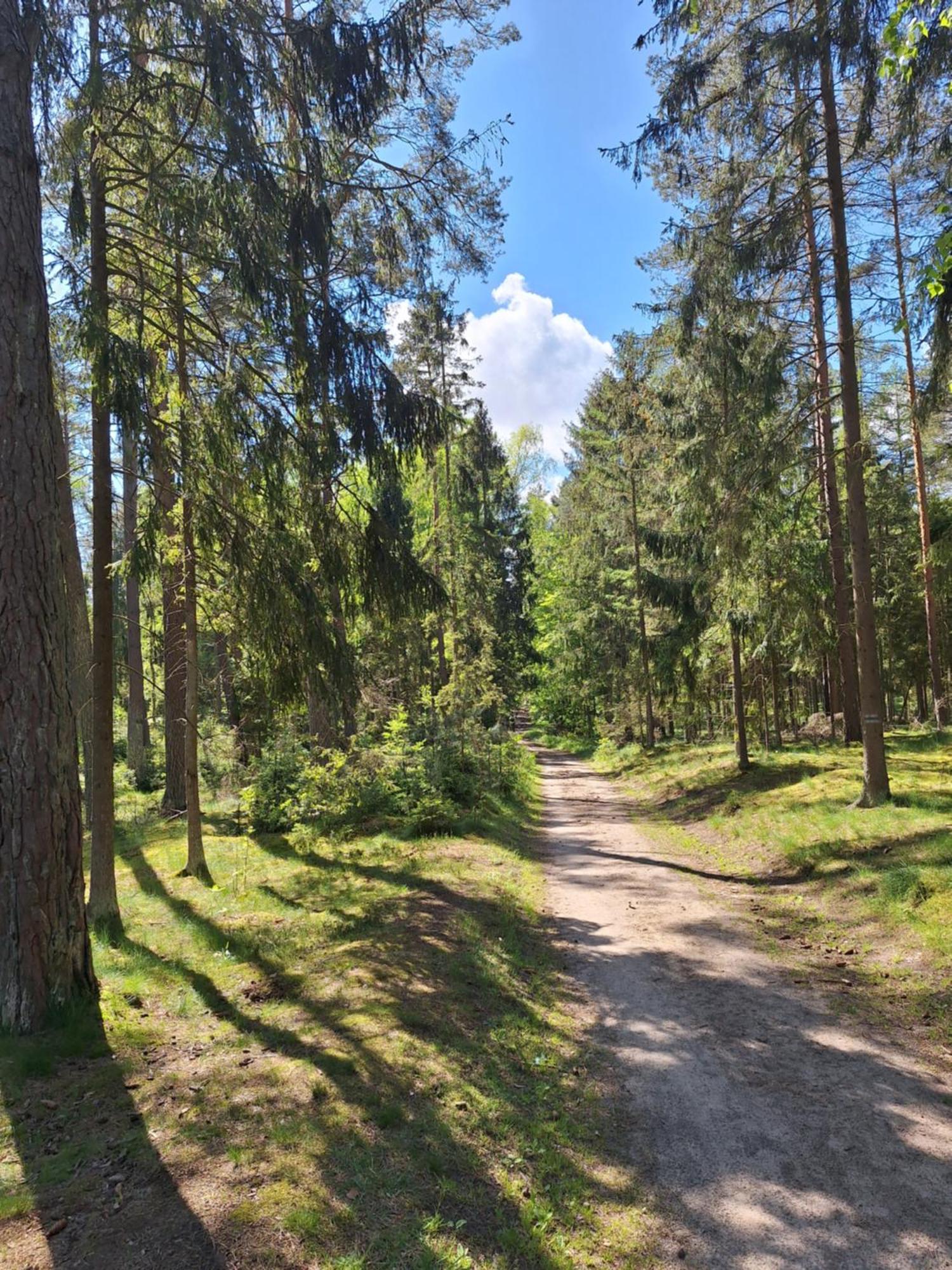 Apartment Lake&city - Komfortowe Blisko Majaland, Jeziora, Lasu Oraz Serca Trojmiasta