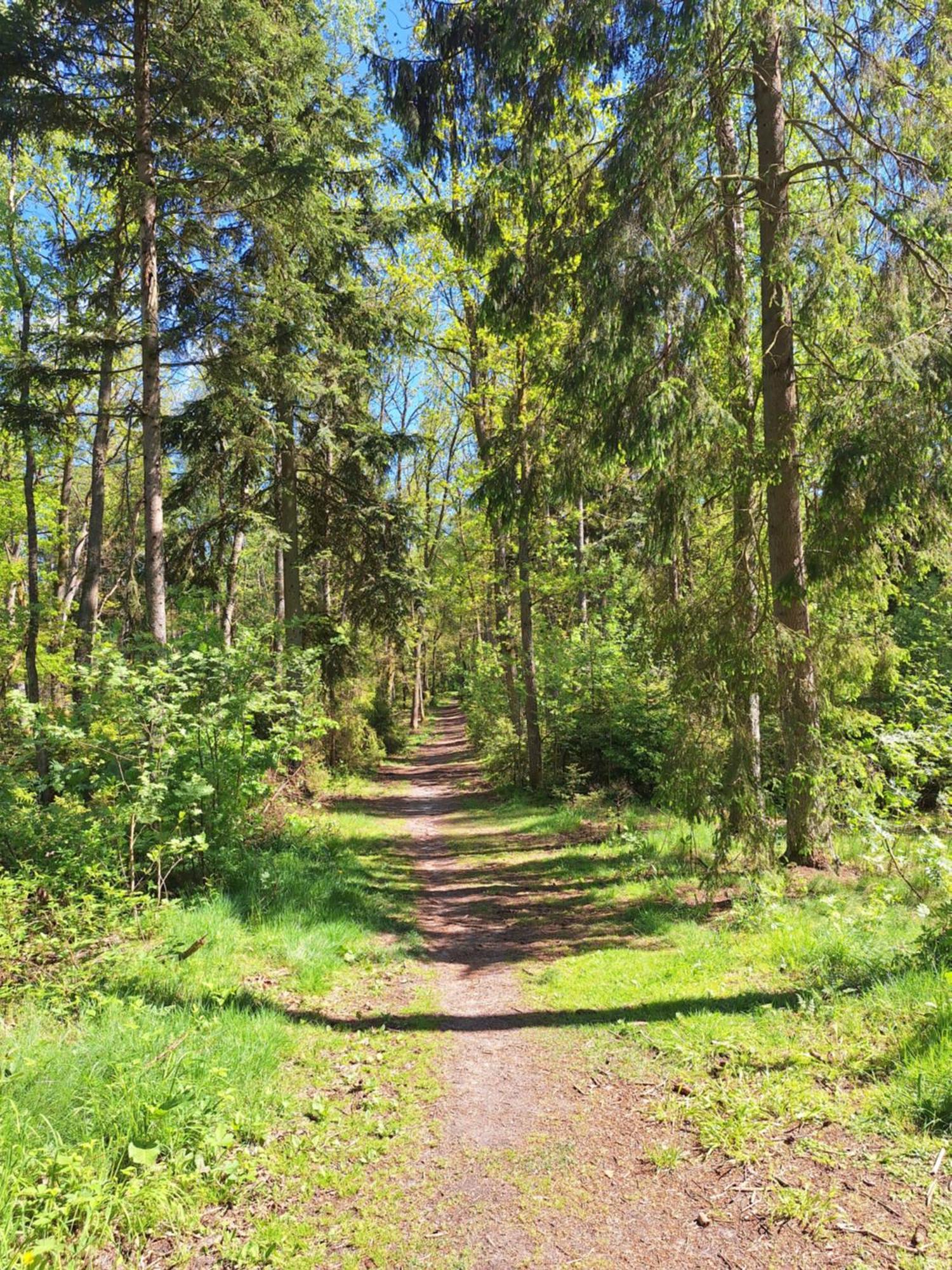 Lake&city - Komfortowe Blisko Majaland, Jeziora, Lasu Oraz Serca Trojmiasta * Gdansk